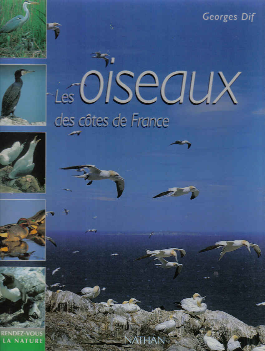 oiseaux_des_côtes_de_france